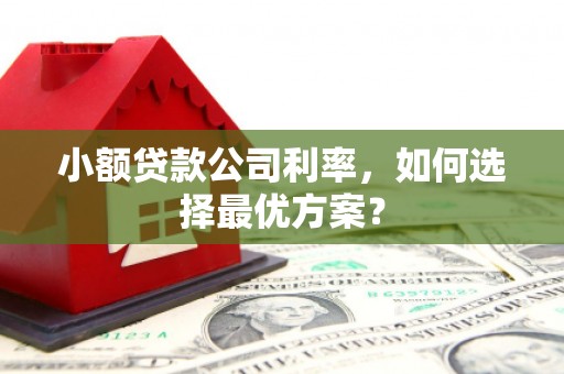 来宾小额贷款公司利率，如何选择最优方案？