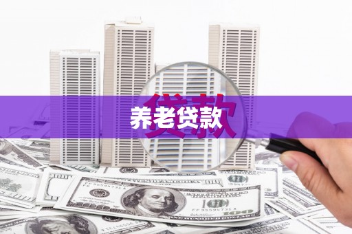 来宾养老贷款