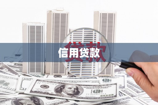 来宾信用贷款