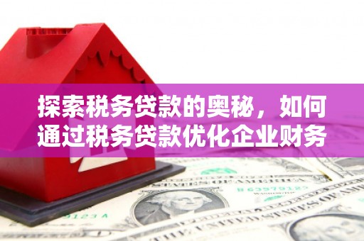 来宾探索税务贷款的奥秘，如何通过税务贷款优化企业财务