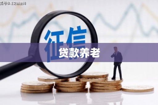 来宾贷款养老