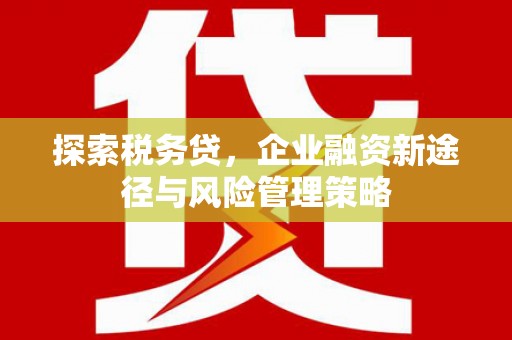 来宾探索税务贷，企业融资新途径与风险管理策略