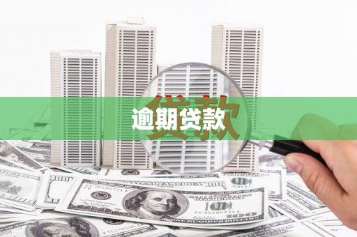 来宾逾期贷款