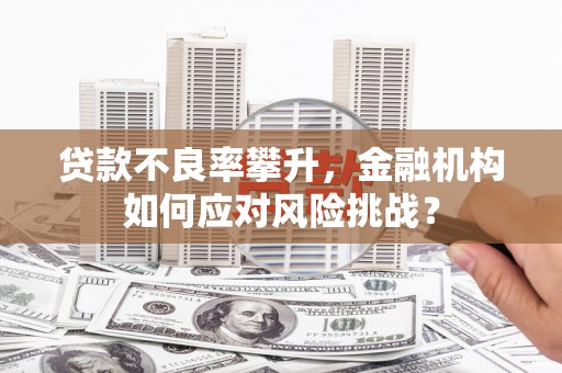 来宾贷款不良率攀升，金融机构如何应对风险挑战？