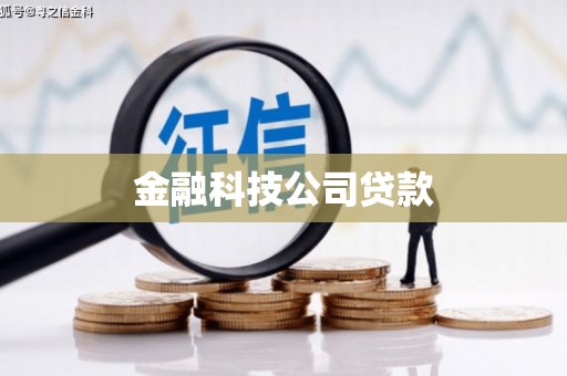 来宾金融科技公司贷款