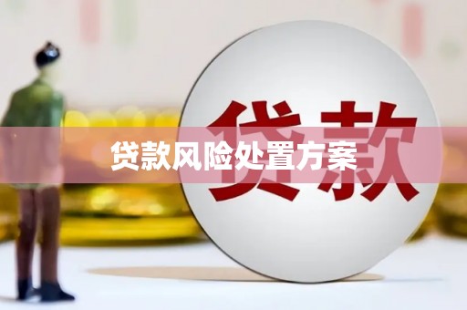 来宾贷款风险处置方案