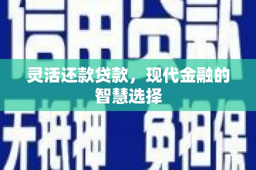 来宾灵活还款贷款，现代金融的智慧选择