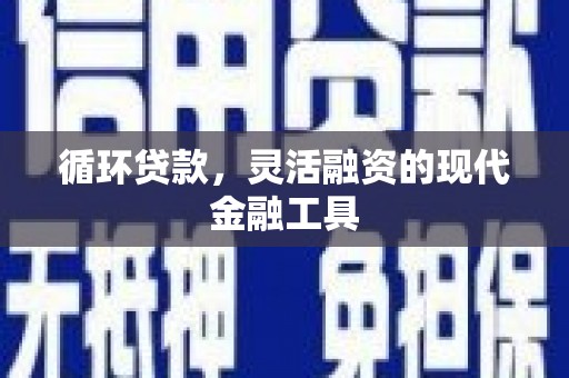来宾循环贷款，灵活融资的现代金融工具