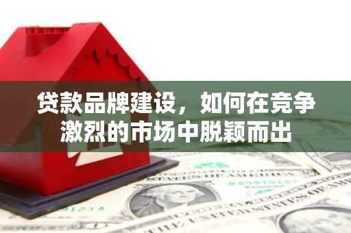 来宾贷款品牌建设，如何在竞争激烈的市场中脱颖而出