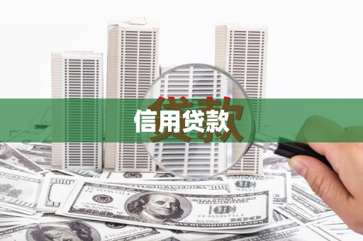 来宾信用贷款