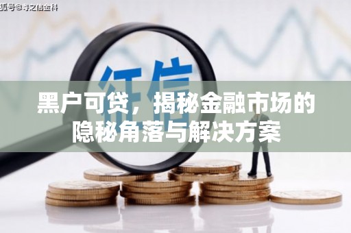 来宾黑户可贷，揭秘金融市场的隐秘角落与解决方案