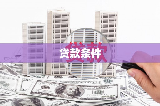 来宾贷款条件