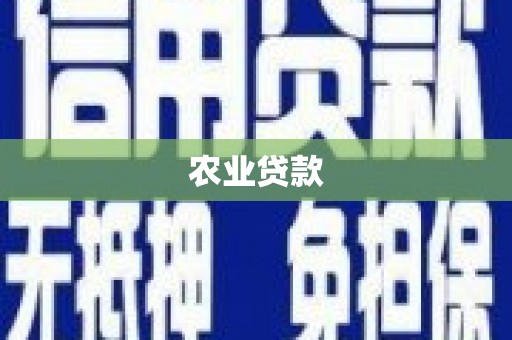 来宾农业贷款