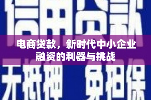 来宾电商贷款，新时代中小企业融资的利器与挑战
