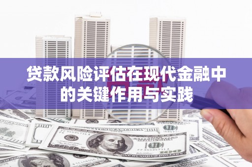 来宾贷款风险评估在现代金融中的关键作用与实践
