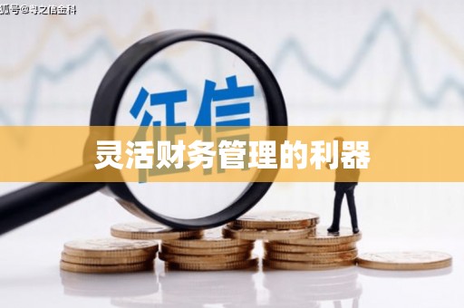 来宾灵活财务管理的利器