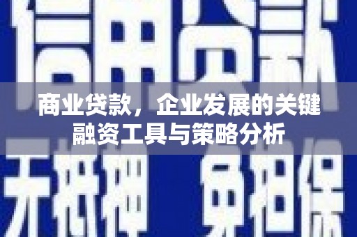 来宾商业贷款，企业发展的关键融资工具与策略分析