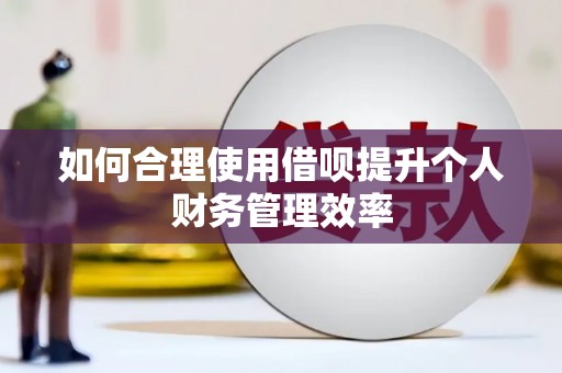 来宾如何合理使用借呗提升个人财务管理效率