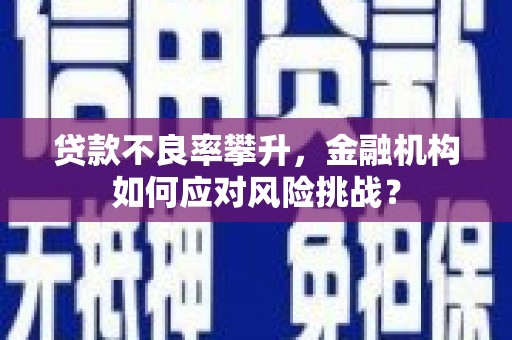 来宾贷款不良率攀升，金融机构如何应对风险挑战？
