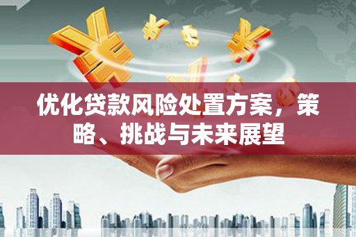 来宾优化贷款风险处置方案，策略、挑战与未来展望