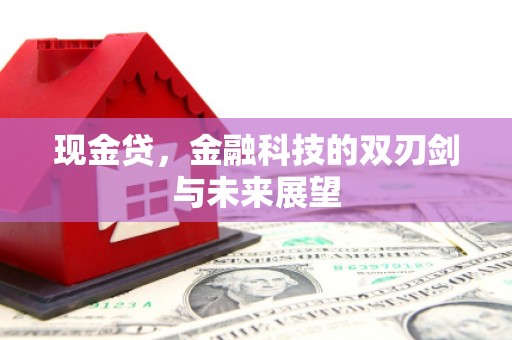 来宾现金贷，金融科技的双刃剑与未来展望