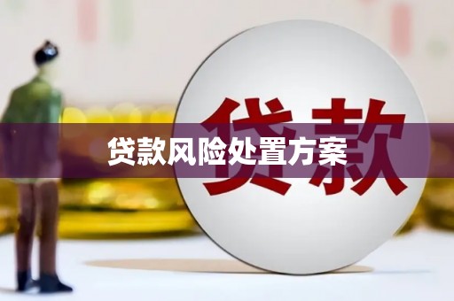 来宾贷款风险处置方案