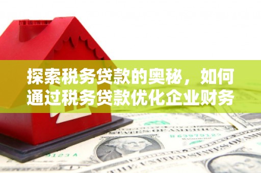 来宾探索税务贷款的奥秘，如何通过税务贷款优化企业财务