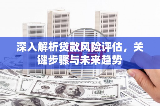 来宾深入解析贷款风险评估，关键步骤与未来趋势