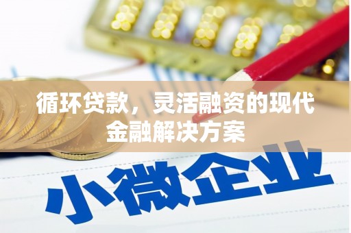 来宾循环贷款，灵活融资的现代金融解决方案