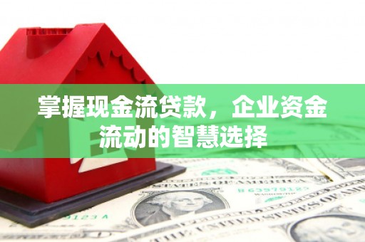 来宾掌握现金流贷款，企业资金流动的智慧选择