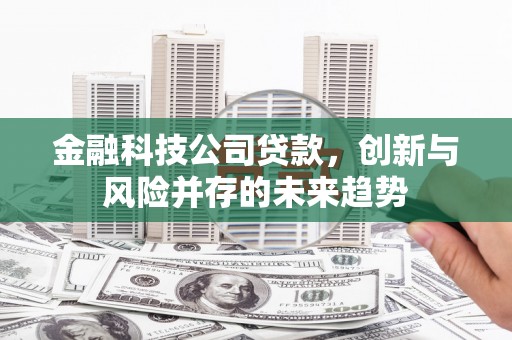 来宾金融科技公司贷款，创新与风险并存的未来趋势