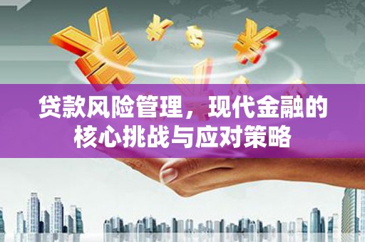 来宾贷款风险管理，现代金融的核心挑战与应对策略