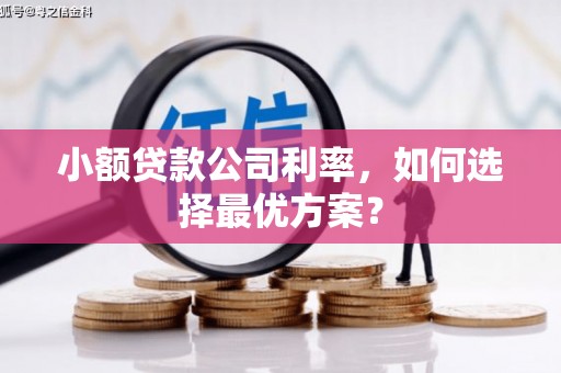 来宾小额贷款公司利率，如何选择最优方案？