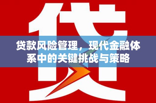 来宾贷款风险管理，现代金融体系中的关键挑战与策略