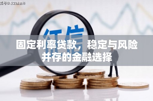 来宾固定利率贷款，稳定与风险并存的金融选择