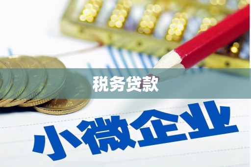 来宾税务贷款