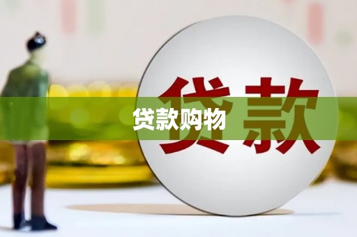 来宾贷款购物