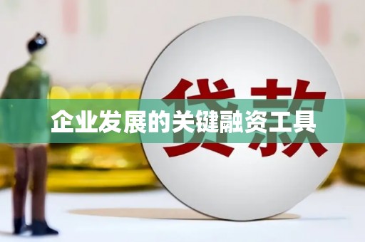 来宾企业发展的关键融资工具
