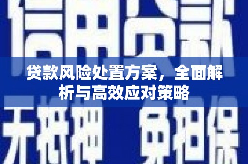 来宾贷款风险处置方案，全面解析与高效应对策略
