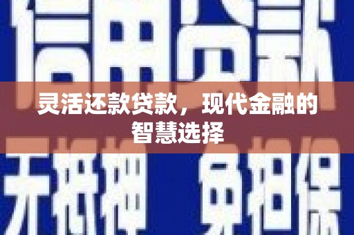 来宾灵活还款贷款，现代金融的智慧选择