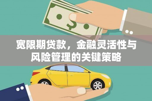 来宾宽限期贷款，金融灵活性与风险管理的关键策略