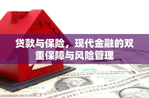 来宾贷款与保险，现代金融的双重保障与风险管理