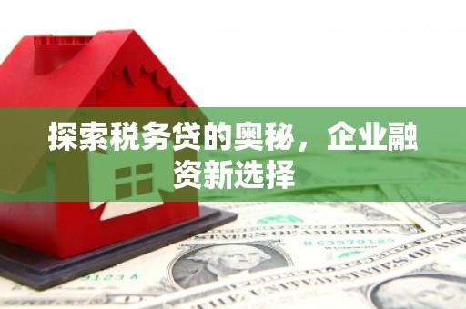 来宾探索税务贷的奥秘，企业融资新选择