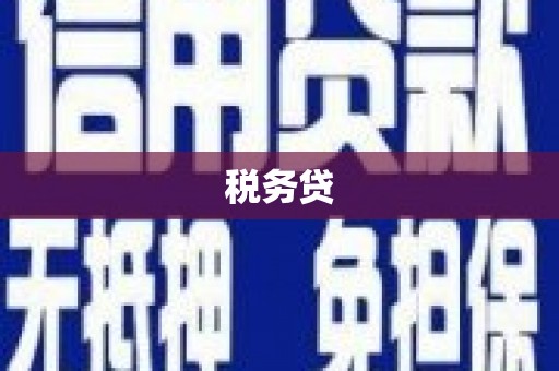 来宾税务贷