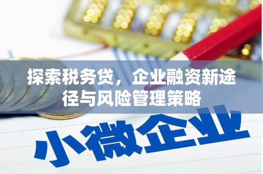 来宾探索税务贷，企业融资新途径与风险管理策略