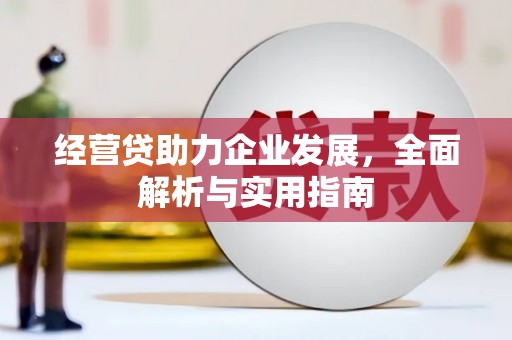 来宾经营贷助力企业发展，全面解析与实用指南