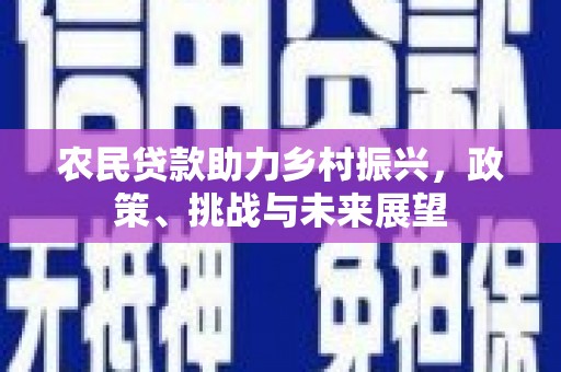 来宾农民贷款助力乡村振兴，政策、挑战与未来展望