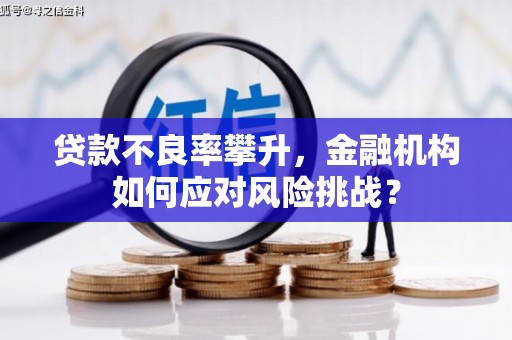 来宾贷款不良率攀升，金融机构如何应对风险挑战？