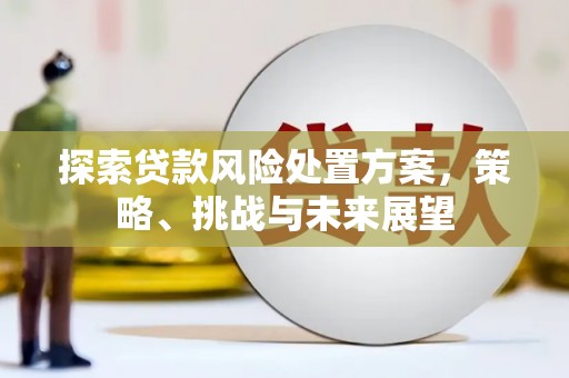 来宾探索贷款风险处置方案，策略、挑战与未来展望
