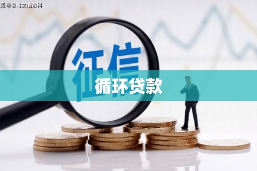 来宾循环贷款